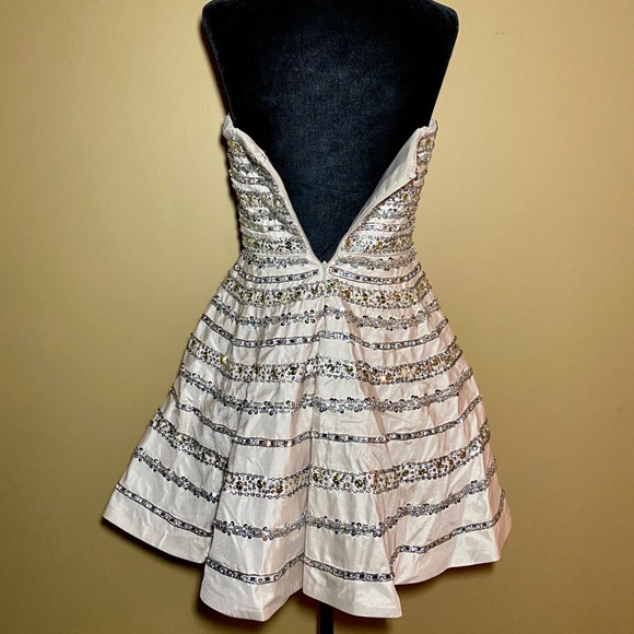 Terani Mini Dress - Picture 5 of 8